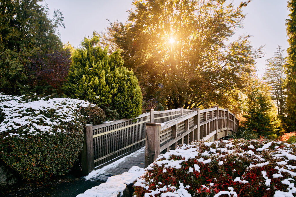 winter landscaping